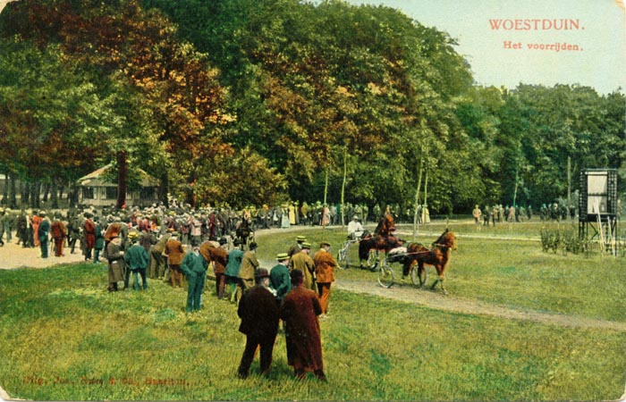 Woestduin-03.jpg