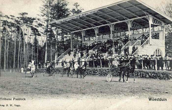 woestduin-tribune.jpg