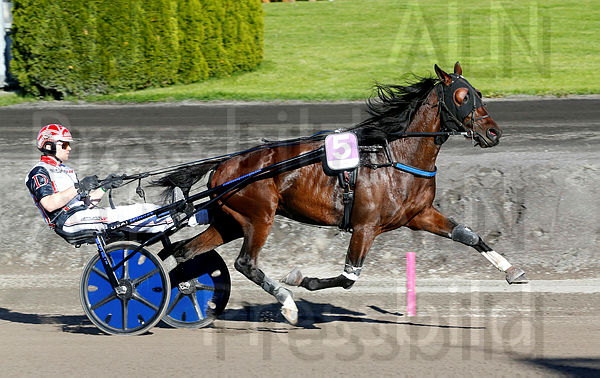 Gogobet Sisu heat 2.t60b8e093.m600.w.4salnwmark2.png.x8pWtaGsp.jpg