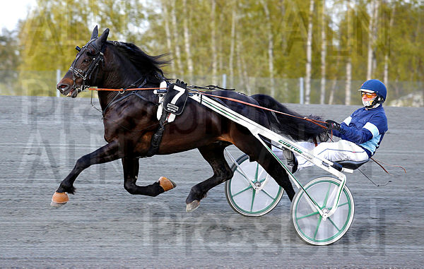 Emil Mollyn heat 1 (2).t5ebe34fd.m600.w.4salnwmark2.png.xHx1EOxiI.jpg