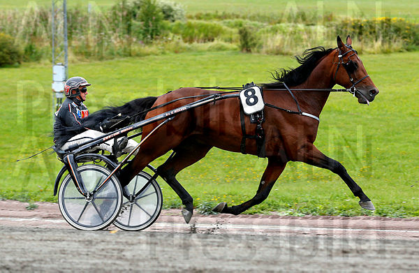 Bo C. heat 1.t5d78dfb7.m600.w.4salnwmark2.png.xJ0Y1kFsI.jpg