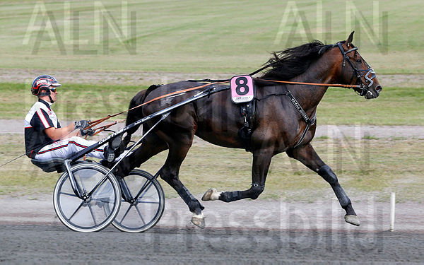 Even's Cool Boy heat 1.t61373ca2.m600.w.4salnwmark2.png.xW_cciQLo.jpg