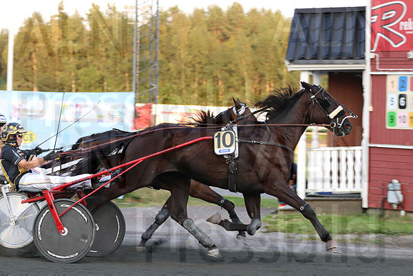 Gurra Palema 2 (2).t6107b0aa.m600.w.4salnwmark2.png.x-DeqdEMC.jpg