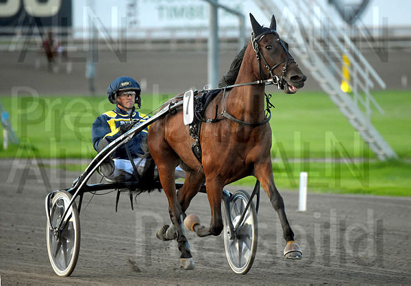 Bird Lane heat.t612f468d.m600.w.4salnwmark2.png.xq-wMquyW.jpg