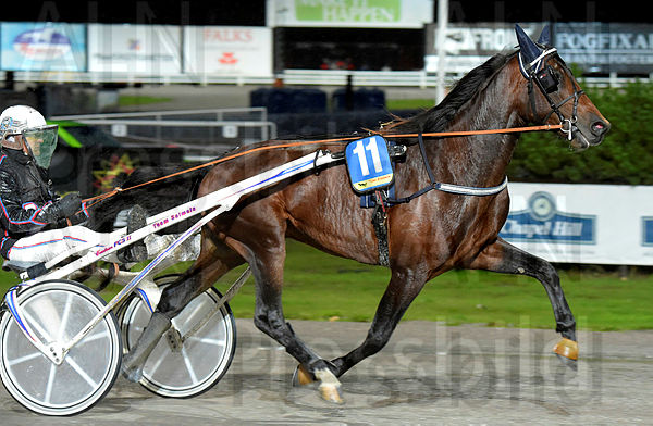 Leave Your Sox On heat.t5d94870b.m600.w.4salnwmark2.png.xnDDl-vOR.jpg