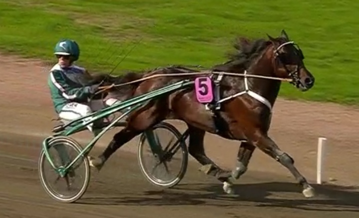 WhosWho_SvensktTravdeby_1_180902.jpg