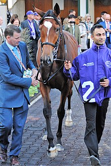 220px-DSC_3308Enable.jpg
