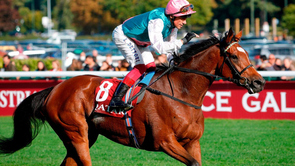 https___cdn.cnn.com_cnnnext_dam_assets_191011172123-fankie-dettori-enable-prix-de-larc-de-triomphe-longchamp-2019.jpg