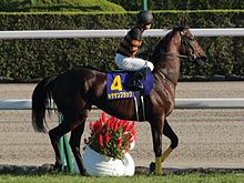 Kitasan-Black_IMG_7729r_R_20151025.JPG