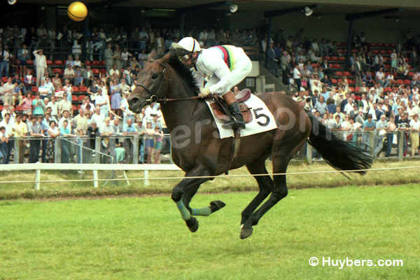 King-1983-Terry-Cain-01.jpg