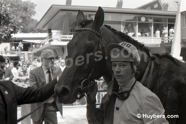 King-1978-Kevin-Davies-04.jpg
