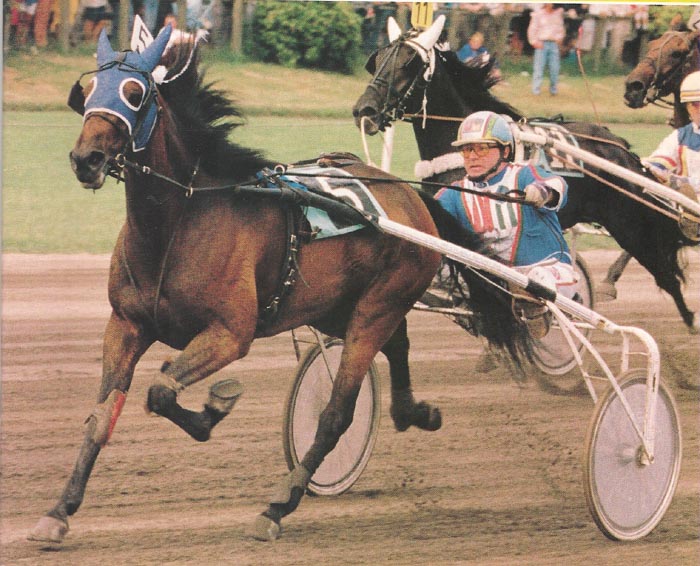 Gipsy Westland Derby.jpg