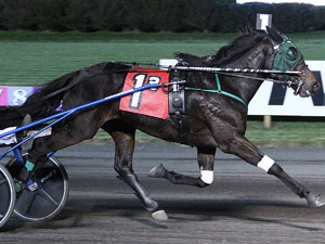 Anoka_Hanover300 (1).jpg