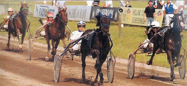 Offspring Nevele Derby 2.jpg