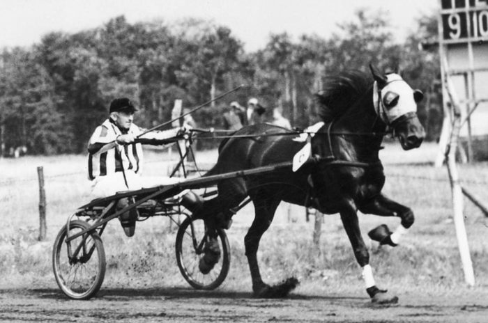 Mientje Deter 17-7-49.jpg
