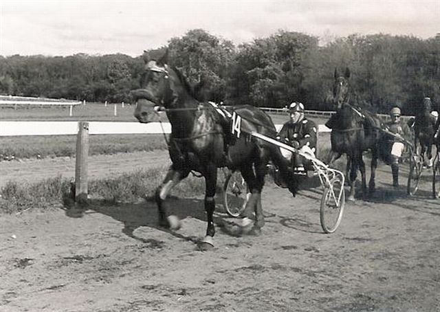 Quarteron II 01 (1).jpg