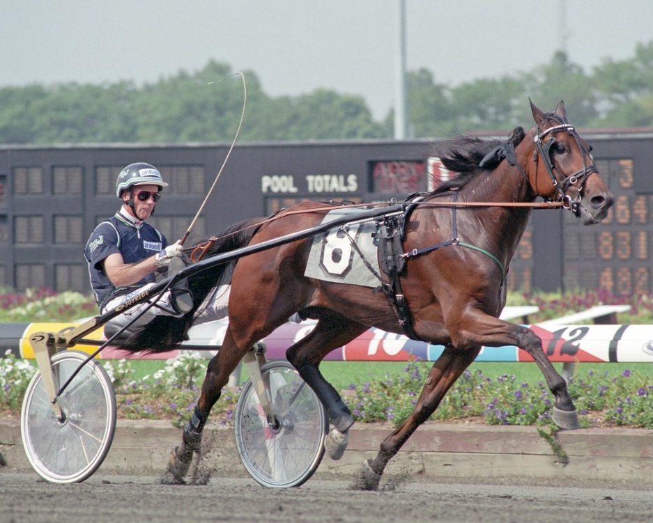 VictoryTilly_TheMeadowlands_NatRayTrot (1).jpg