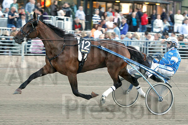 Bobtail heat 1.t4e6e4e3e.m600.w.4salnwmark2.png.x8f6NwWwO.jpg