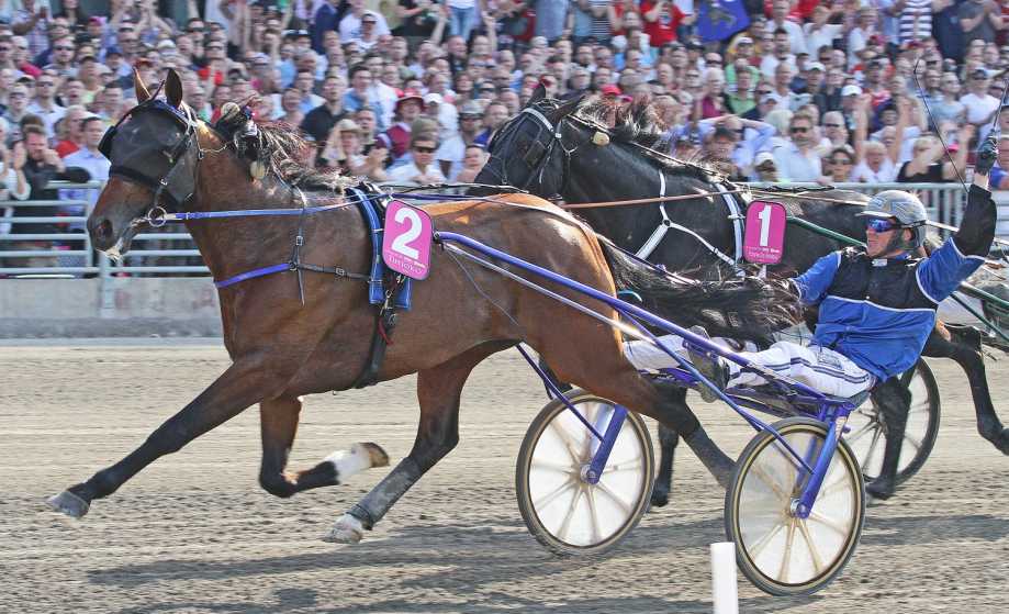 Timoko Elitlop 2014 e.jpg