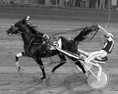walter-case-jr-20d6f887-5ea0-40d1-9208-37aa263da32-resize-750.jpeg