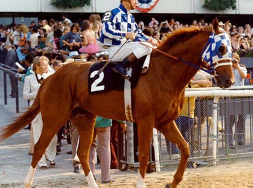 secretariat color.c353d2d6890554f1bc6d5d952f5c905c.jpg
