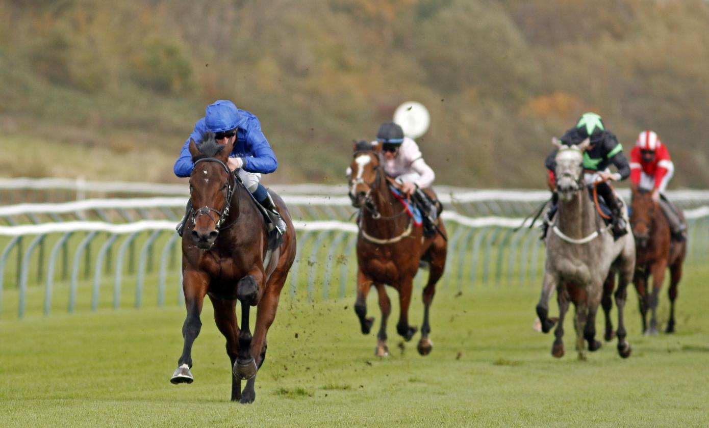 Adayar - 1st - Maiden Stakes - Nottingham, UK - 28 October 2020 racingfotos_64003334396_1.jpg