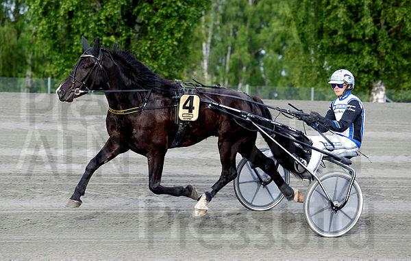Stjerne Tore heat 1.t60d8c99c.m600.w.4salnwmark2.png.xSvFmmlc6.jpg