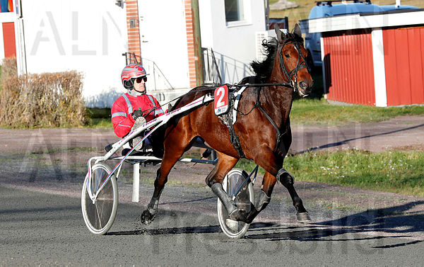 Musett af Djupmyra heat 1.t5fa14a0c.m600.w.4salnwmark2.png.xYxOmcRg-.jpg