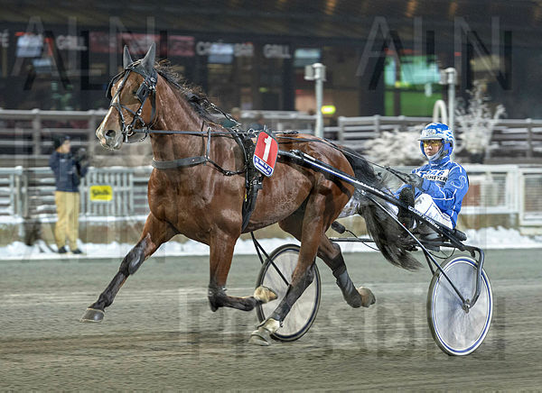 Criterion 1.t5c196162.m600.w.4salnwmark2.png.xaG9T2XBX.jpg