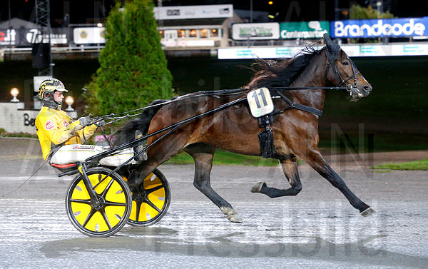 Sjö Stjerna heat 1.t61a8ca50.m600.w.4salnwmark2.png.xeSncYlUy.jpg