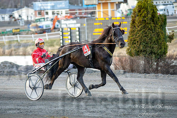 Grisle Odin G.L.-7466.t5ea1db79.m600.w.4salnwmark2.png.xhtKIaSep.jpg