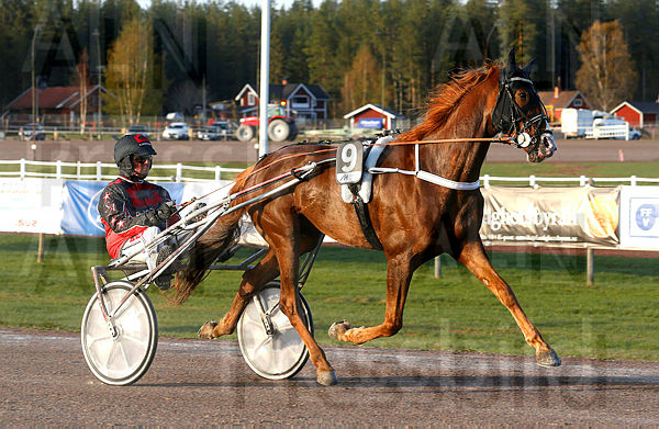 Lyckans Star heat 1_2.t5cd2ba50.m600.w.4salnwmark2.png.xXsznje52.jpg