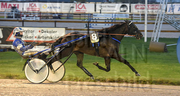 Claw mål (2).t5ea728f2.m600.w.4salnwmark2.png.xFyqnCY9L.jpg