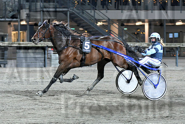 AMORCER LEVALLO.t61c38b4e.m600.w.4salnwmark2.png.xLxLZmV9r.jpg