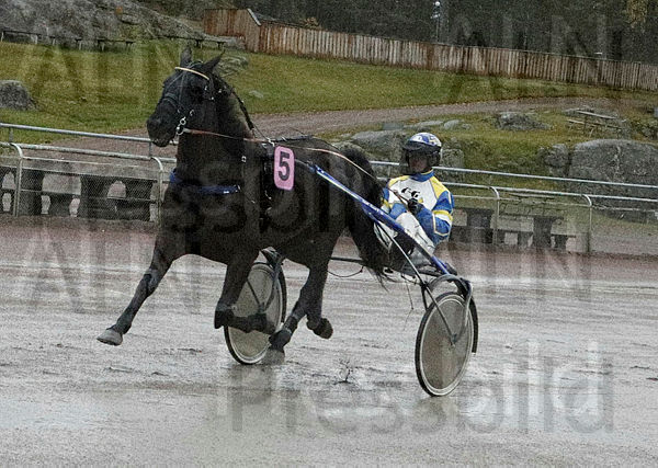 Bransbys Juke Box heat.t5f7a0f1f.m600.w.4salnwmark2.png.x9TLPfY8Z.jpg