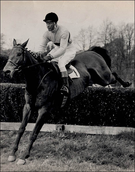 arkle (1).jpg