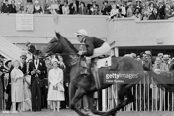 gettyimages-639615305-612x612.jpg