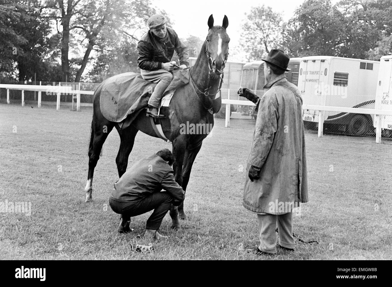 french-horse-sea-bird-ii-in-training-the-day-before-the-epsom-derby-EMGW8B.jpg