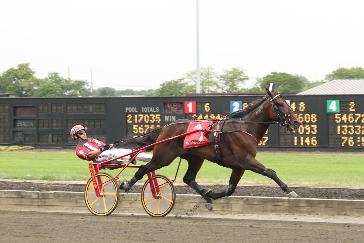 1200px-Broad_Bahn_-_2011_Hambletonian_(6161942926) (1).jpg