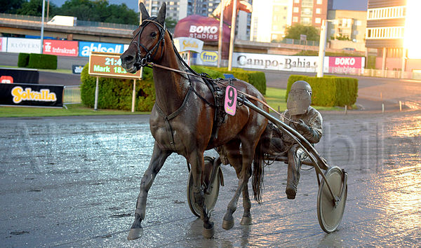 Champ Lane def.t5efbfd8b.m600.w.4salnwatermark3.tif.xC_Hxoqxy.jpg
