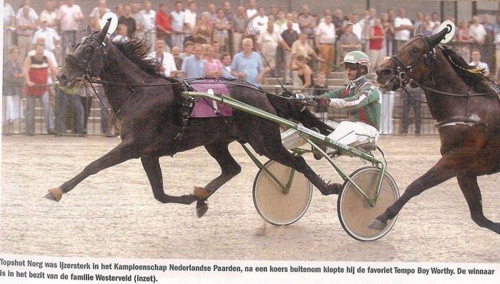 Topshot Norg KNP 06.jpg