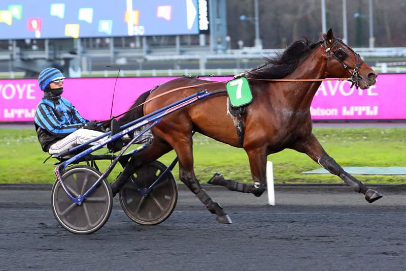 Idao-de-Tillard-Vincennes-26_opt.jpg