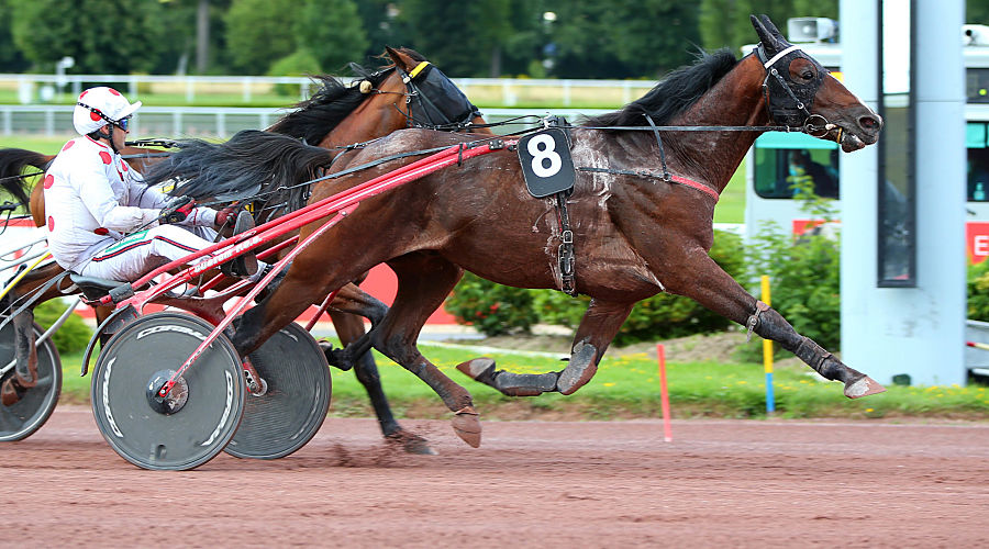 Harvest de Buliere_01_Aprh_opt_opt.jpg