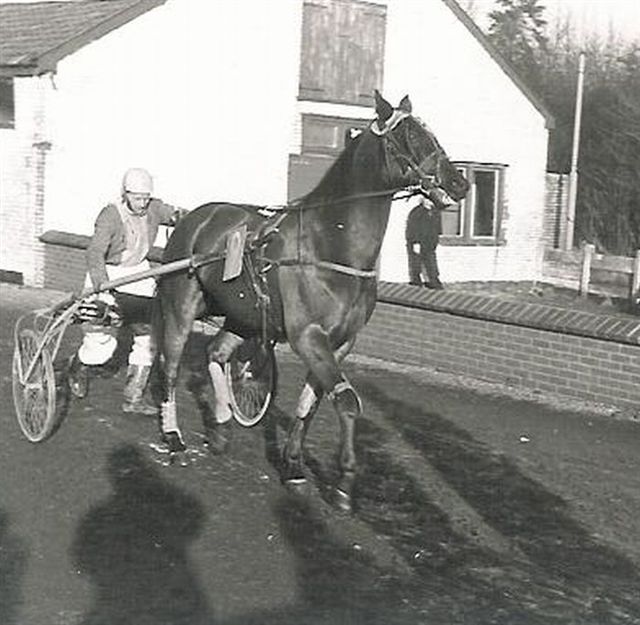 YY Hanover 01.jpg