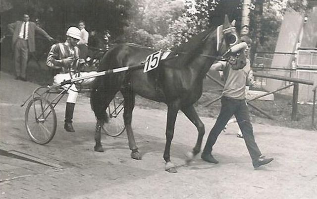 French Mac 01.jpg