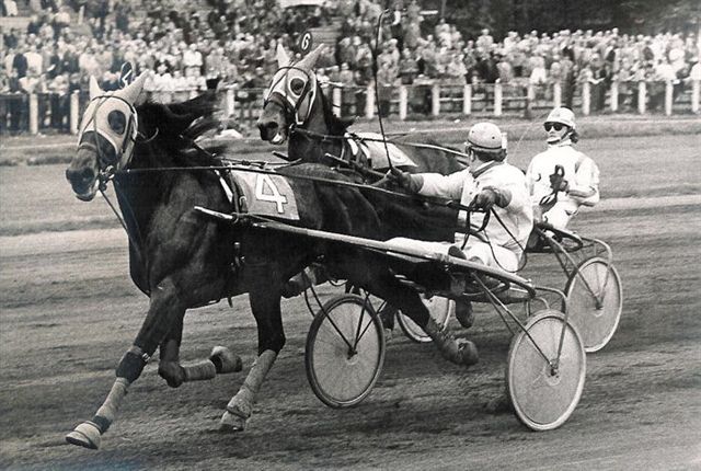 Lolo Buitenzorg 13-5-73.jpg