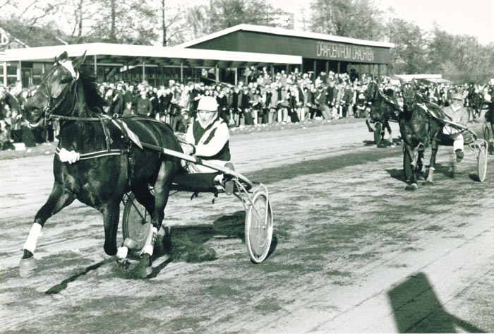 Mistral wint in Drachten.jpg