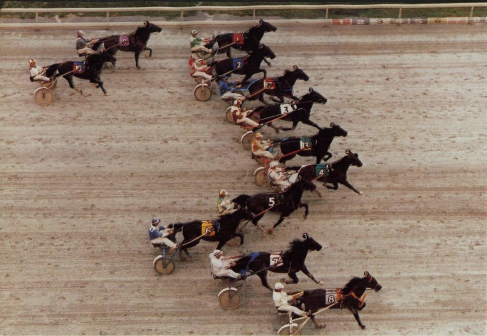 Hambo2dElimStart.jpg