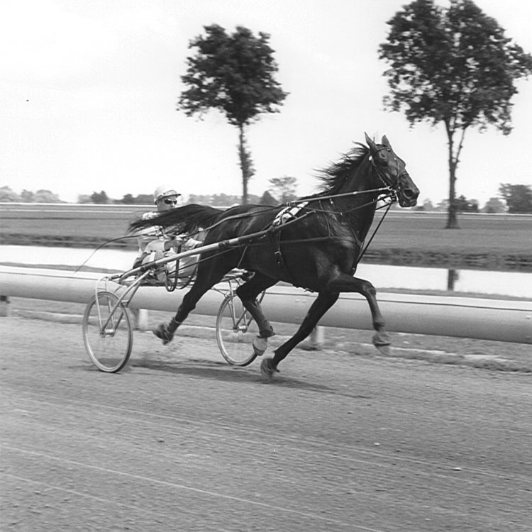 60BlazeHanover4.jpg
