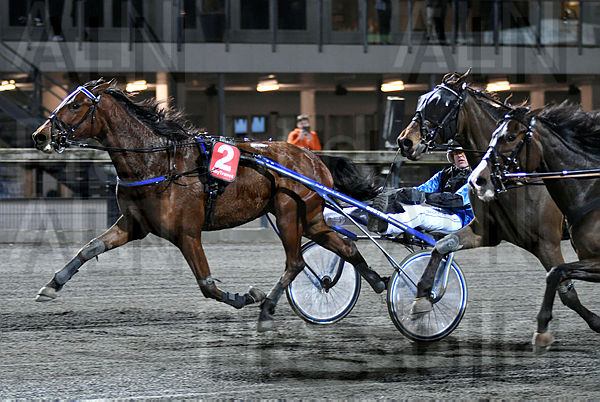 Ziva mål 2.t62212dff.m600.w.4salnwmark2.png.xBK1HxoVK.jpg